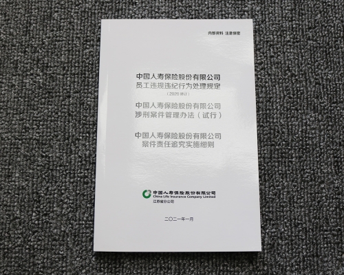 员工手册及行为处理规定