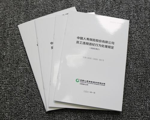 员工手册及行为处理规定